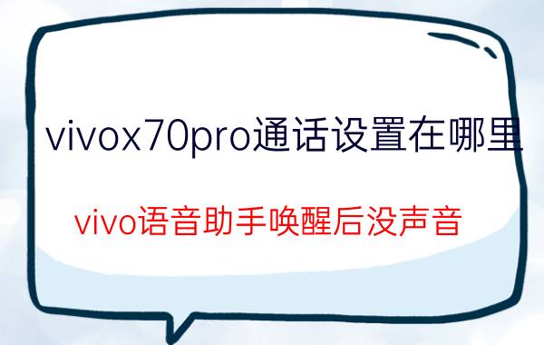 vivox70pro通话设置在哪里 vivo语音助手唤醒后没声音？